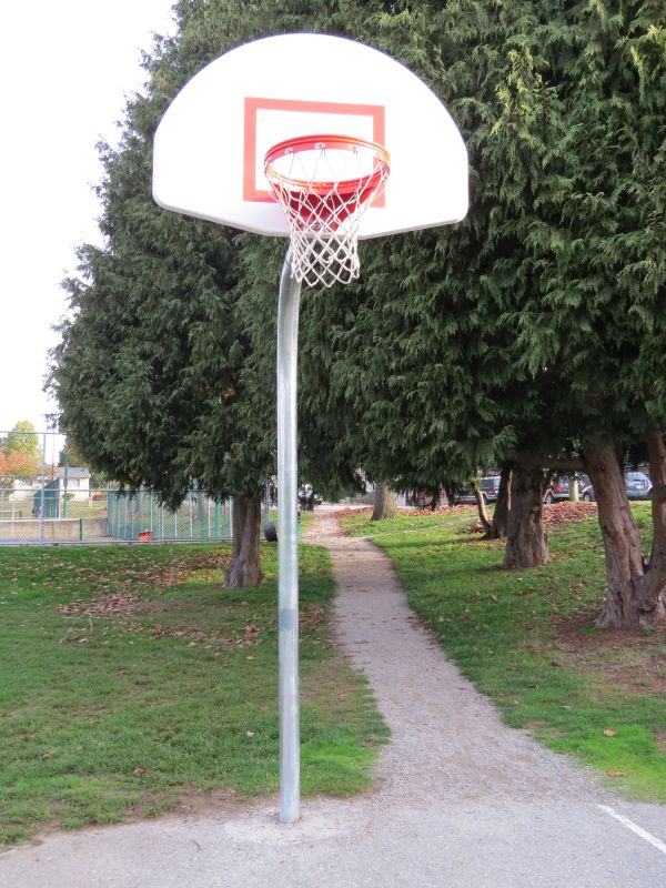 Hoop Mounting Service in Alpharetta, GA